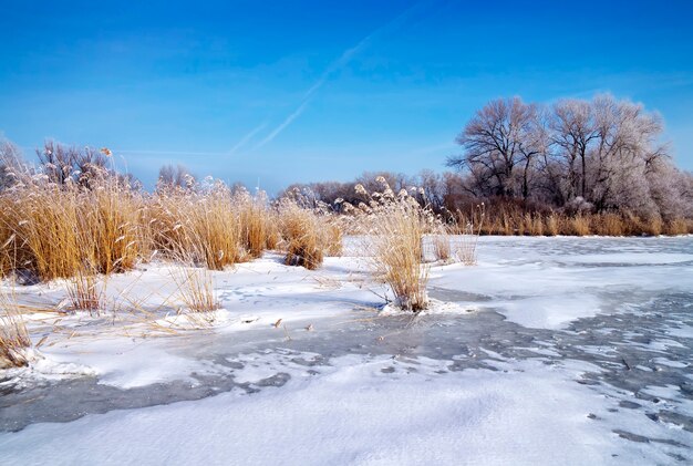 Paisaje invernal con árboles y río congelado.