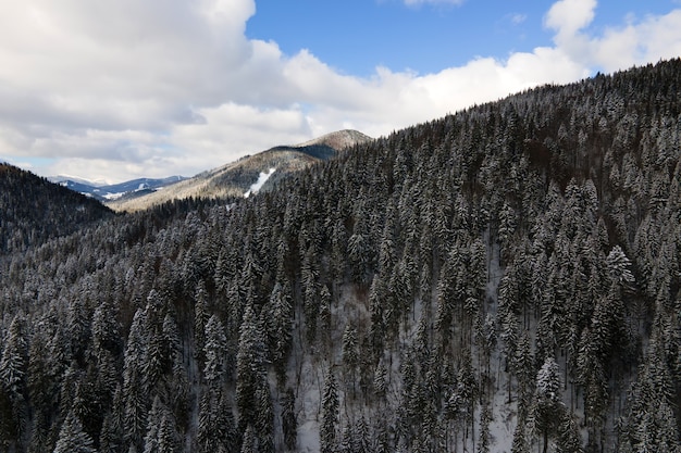 Paisaje invernal con árboles de spruse de bosque cubierto de nieve en montañas frías.