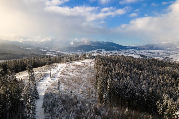 Paisaje invernal con árboles de spruse de bosque cubierto de nieve en montañas frías.