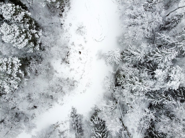 Paisaje invernal con bosque congelado río cubierto de nieve blanca y coníferas vista aérea de árboles nevados