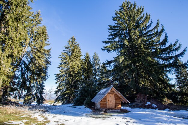 Paisaje invernal con cabaña