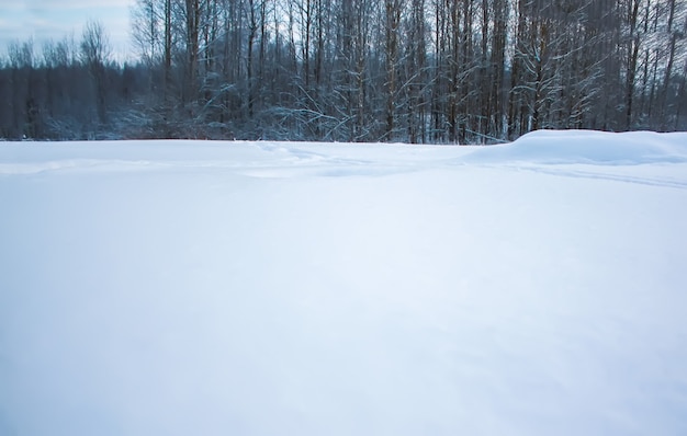 Paisaje invernal en un campo.