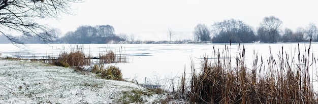 Paisaje invernal con cañas cerca del río cubierto de hielo y nieve. Río en invierno