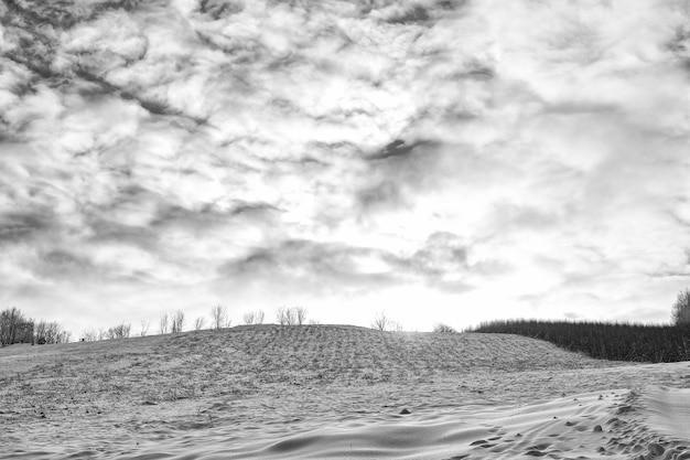 Paisaje invernal cubierto de nieve blanca en el cielo nublado Escena de invierno cubierto de nieve