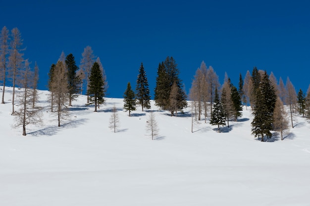 Paisaje invernal en los Dolomitas