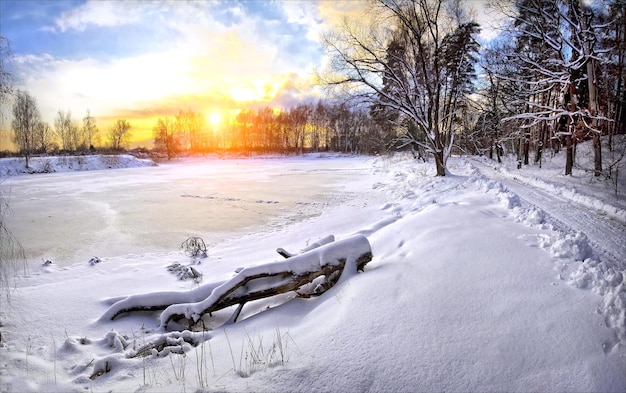 Paisaje invernal en un estanque en el parque y un registro