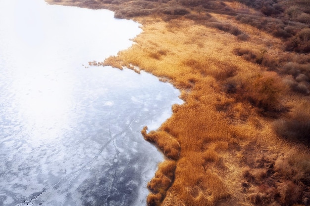 Paisaje invernal con lago congelado y grumos secos a lo largo de la orilla al amanecer.