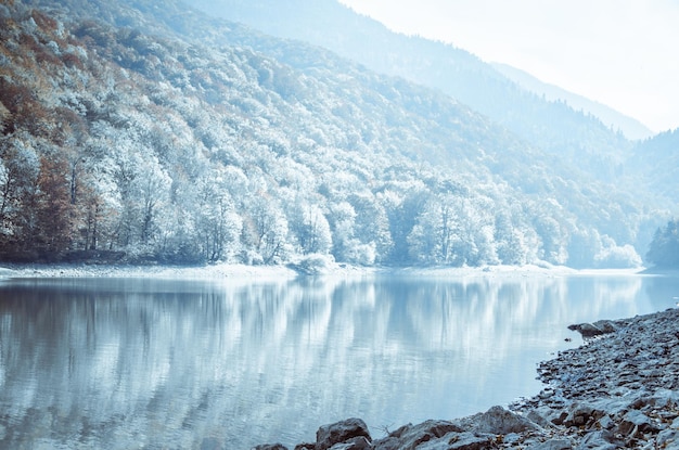 Paisaje invernal en un lago de montañaLas hojas amarillas de los árboles están cubiertas de nieveHermosa naturaleza