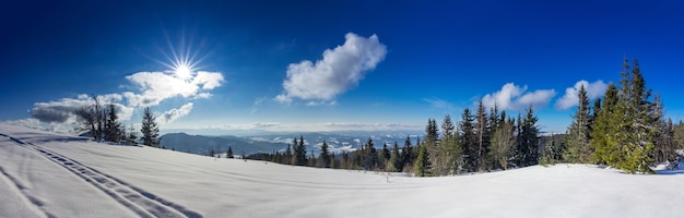 Paisaje invernal de montaña Bosque de abetos cubierto de nieve en el paisaje invernal