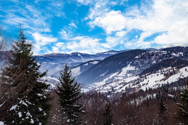 Paisaje invernal una montaña en un bosque de coníferas en un día de invierno con un cielo azul brillante