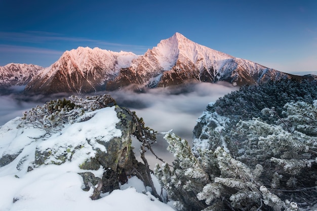 Paisaje invernal con montaña krivan en altos tatras iluminado por el sol de la mañana