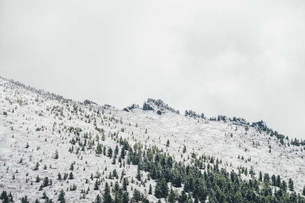 Paisaje invernal con montaña nevada con bosque de coníferas y pináculo puntiagudo con árboles en la cima en neblina. Paisaje alpino atmosférico con abetos en ladera. Piceas en montaña nevada y rocas afiladas.