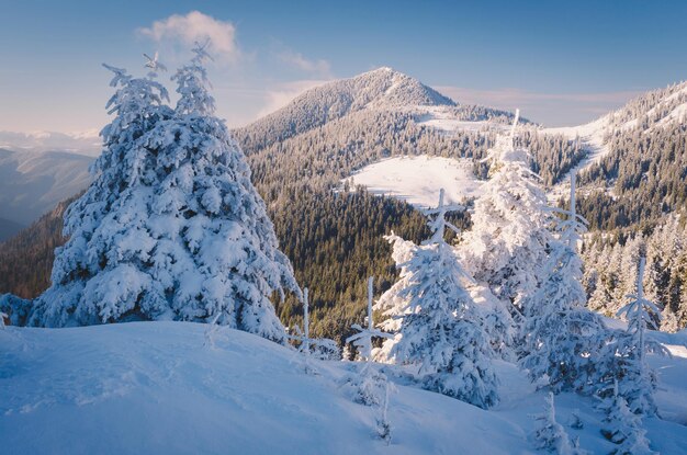 Paisaje invernal en las montañas.