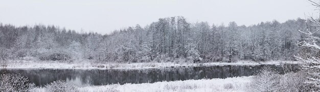 Paisaje invernal Navidad y Año Nuevo Los árboles cubiertos de nieve se reflejan en el río del bosque