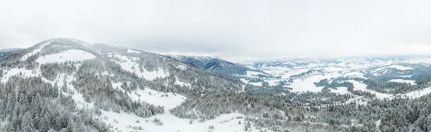 Paisaje invernal en niebla con nieve y ramas cubiertas de escarcha y nieve congelada Foto de alta calidad