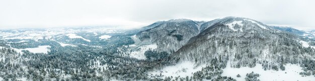 Paisaje invernal en niebla con nieve y ramas cubiertas de escarcha y nieve congelada Foto de alta calidad