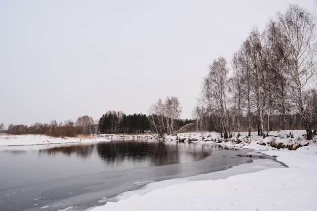 Paisaje invernal de la orilla del río con árboles desnudos y nieve limpia, concepto de naturaleza