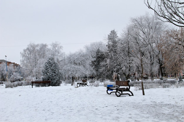 Paisaje invernal en el parque de la ciudad.