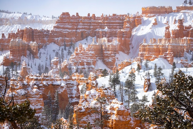 paisaje invernal del parque nacional bryce canyon heladas rocas rojas cubiertas de nieve, invierno de estados unidos