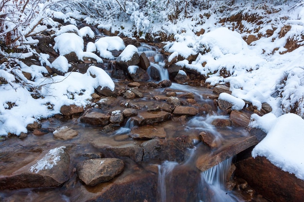 Paisaje invernal un pequeño arroyo rápido fluye en el bosque entre los árboles Cárpatos Ucrania