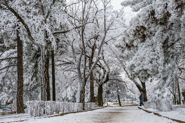 Foto paisaje invernal de pyatigorsk, norte del cáucaso, rusia