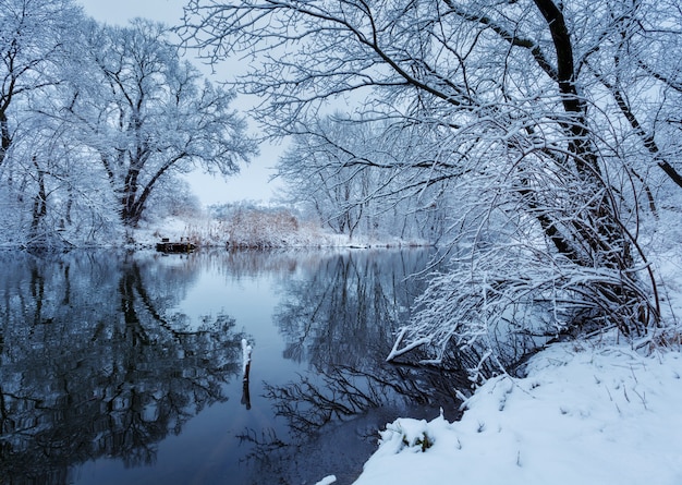 Paisaje invernal con río en bosque