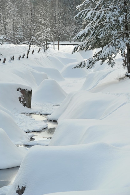 Paisaje invernal de un río de montaña en la nieve, alrededor del bosque.