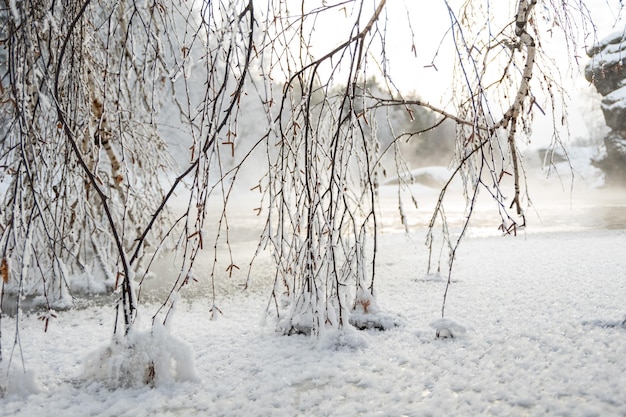 Paisaje invernal Río tranquilo del invierno del norte con árboles cubiertos de escarcha y nieve en el agua