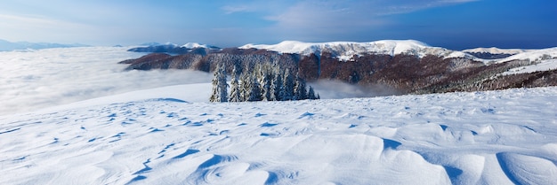 Paisaje invernal con ventisqueros