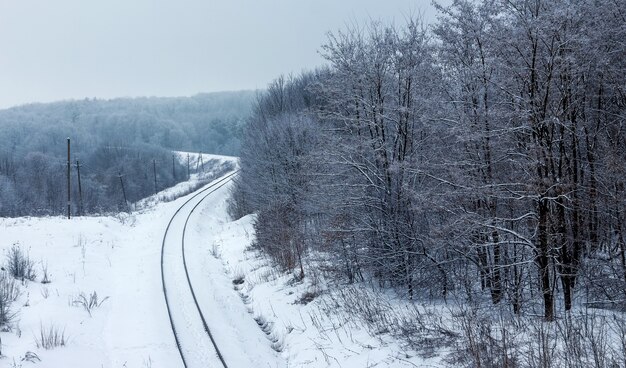 Paisaje invernal con vía férrea que atraviesa el bosque_