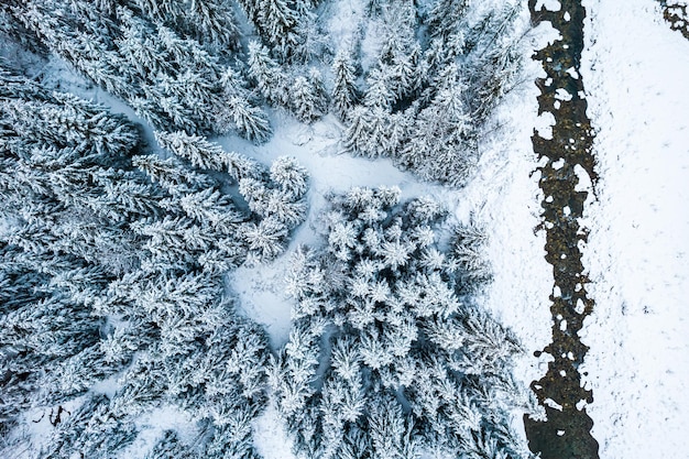 Paisaje invernal con vista de drone de arriba hacia abajo del río congelado