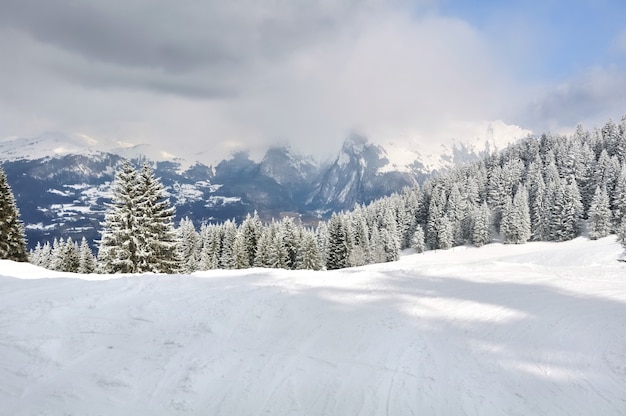 Paisaje invernal