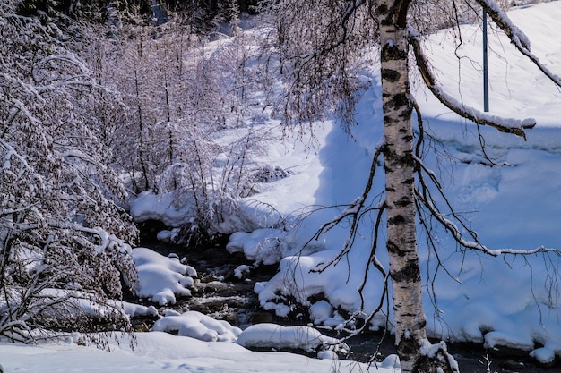 Paisaje de invierno en los alpes franceses