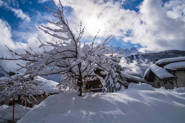 Paisaje de invierno en los alpes franceses