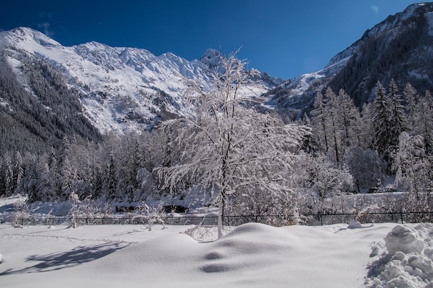 Paisaje de invierno en los alpes franceses