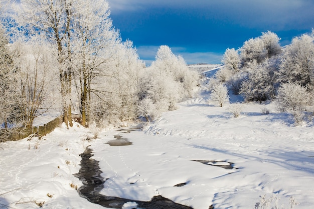 Paisaje de invierno - árboles cerca del río y cielo azul