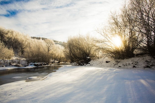 Paisaje de invierno - árboles cerca del río y sol