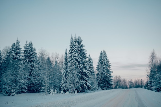 Paisaje de invierno árboles nevados cielo azul