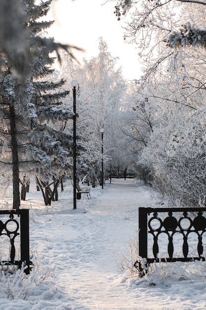 Paisaje de invierno. Camino de invierno y árboles cubiertos de nieve. Parque de la ciudad