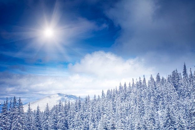 Paisaje de invierno como fondo natural