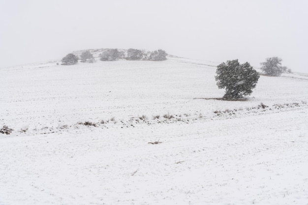 Paisaje de invierno cubierto de nieve. Madrid. España.