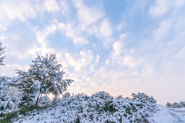 Paisaje de invierno cubierto de nieve. Madrid. España.