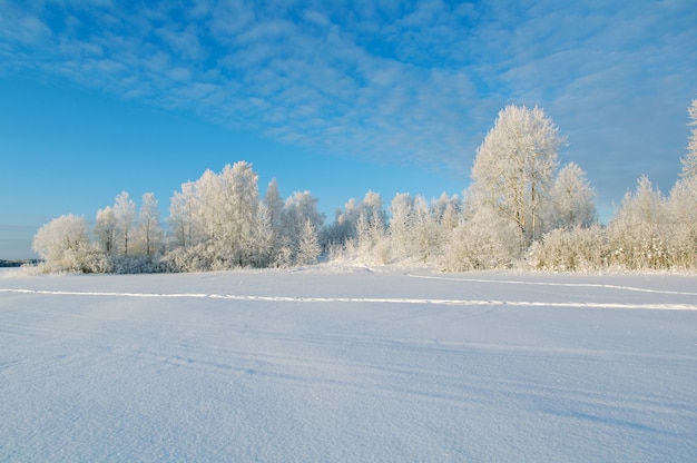 Paisaje de invierno Escena de belleza de invierno