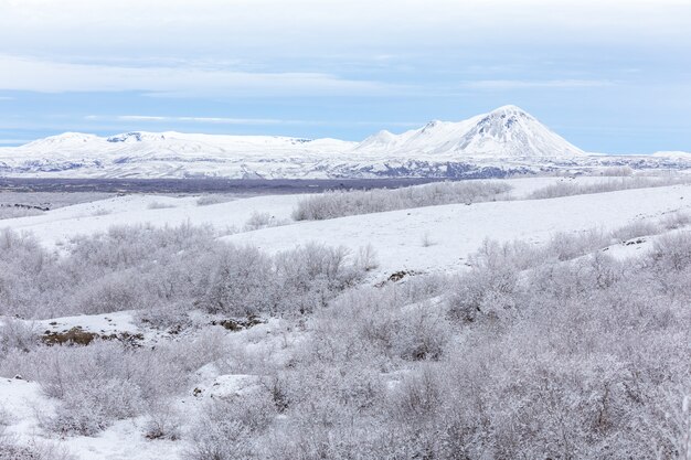 Paisaje de invierno Islandia