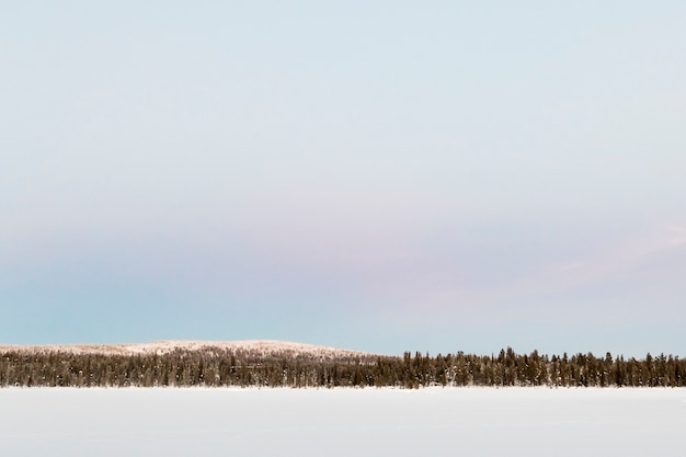 Paisaje de invierno en Kiruna Lapland Suecia