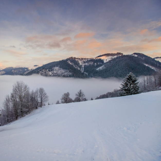 Paisaje de invierno en las montañas