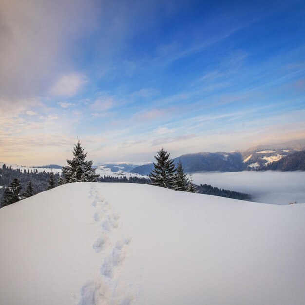 Paisaje de invierno en las montañas