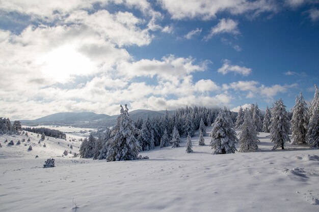 Paisaje de invierno en las montañas