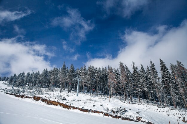 Paisaje de invierno. Naturaleza