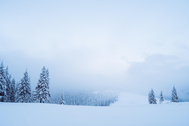 Paisaje de invierno con niebla en las montañas.